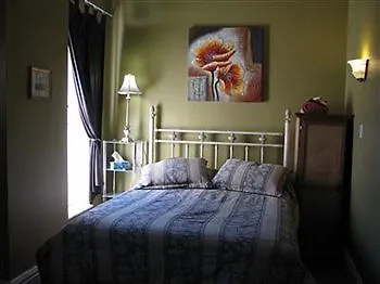 213 Carlton - Toronto Townhouse B&B Hotel